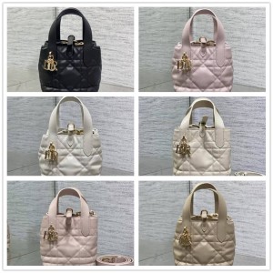 迪奥包S6100 微型 Dior Toujours 竖版手袋菜篮子手提包