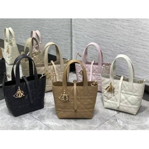 迪奥官网M2835 小号 Dior Toujours 竖版手袋菜篮子手提包